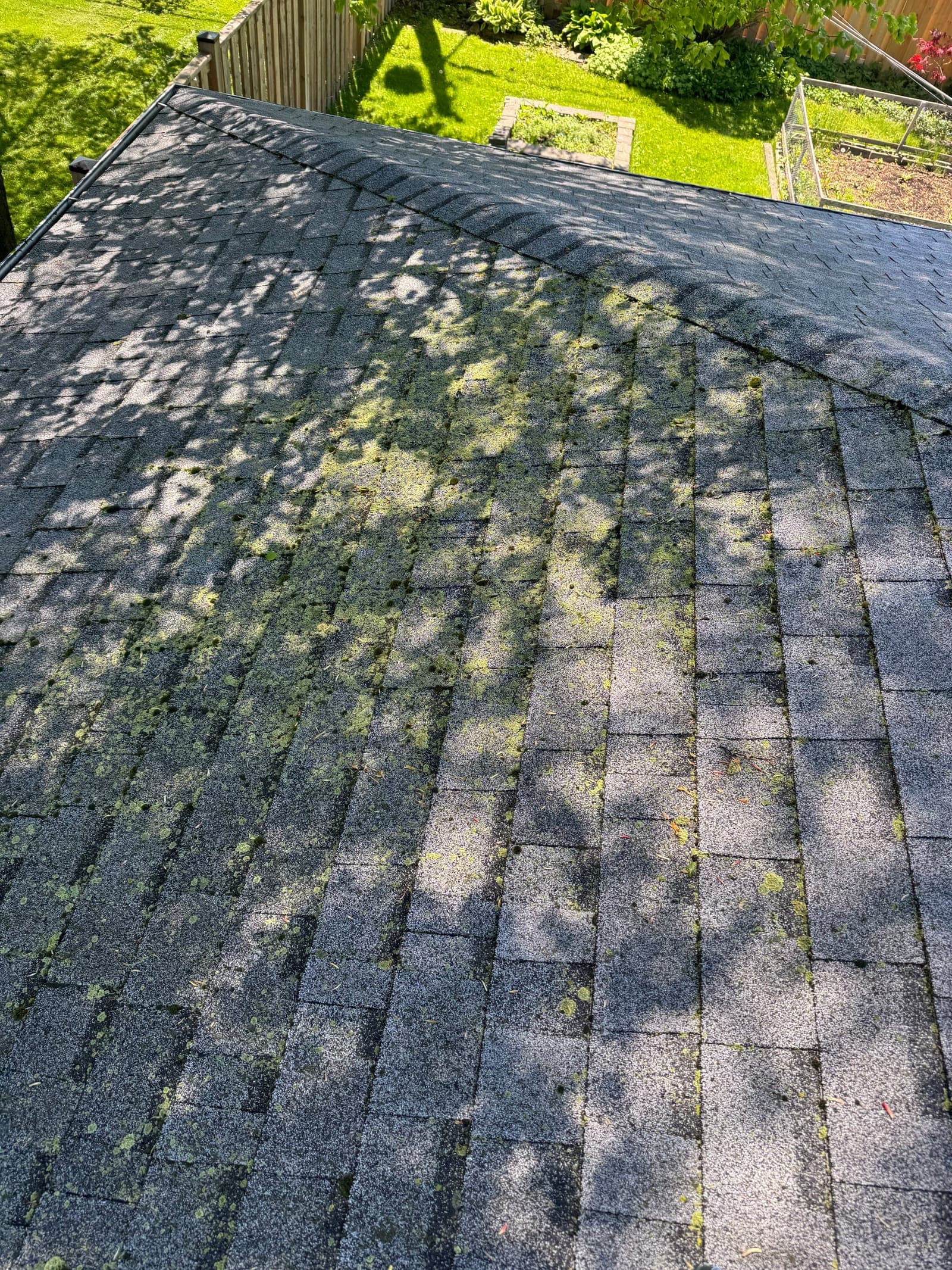 Roof Soft Wash